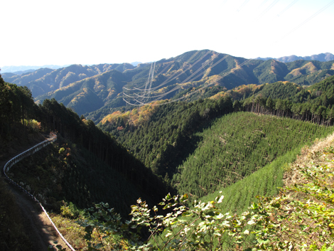 20151127hike (109)